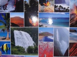 Faune, flore, cirques, cascades, volcans voyez la beauté profonde de cette île !