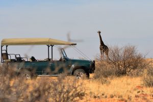 4X4 safari