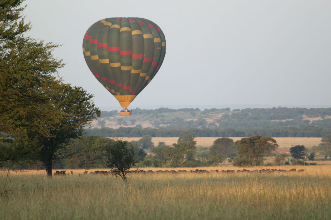 safari tanzanie