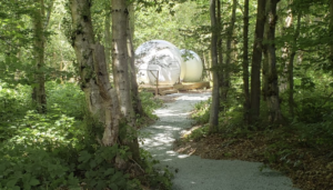 Bulle du Val au Cesne