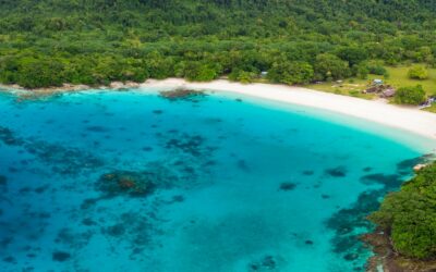 Destination Vanuatu : un paradis à découvrir