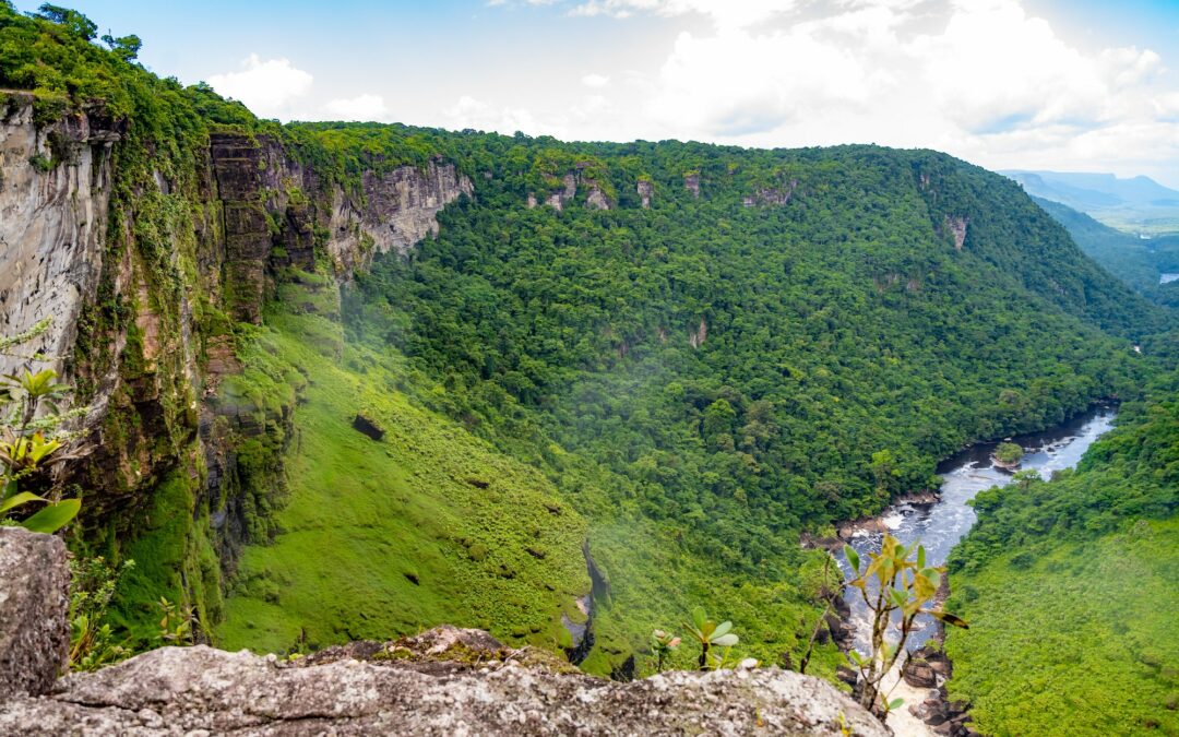 Destination Guyane : ce que vous devez savoir