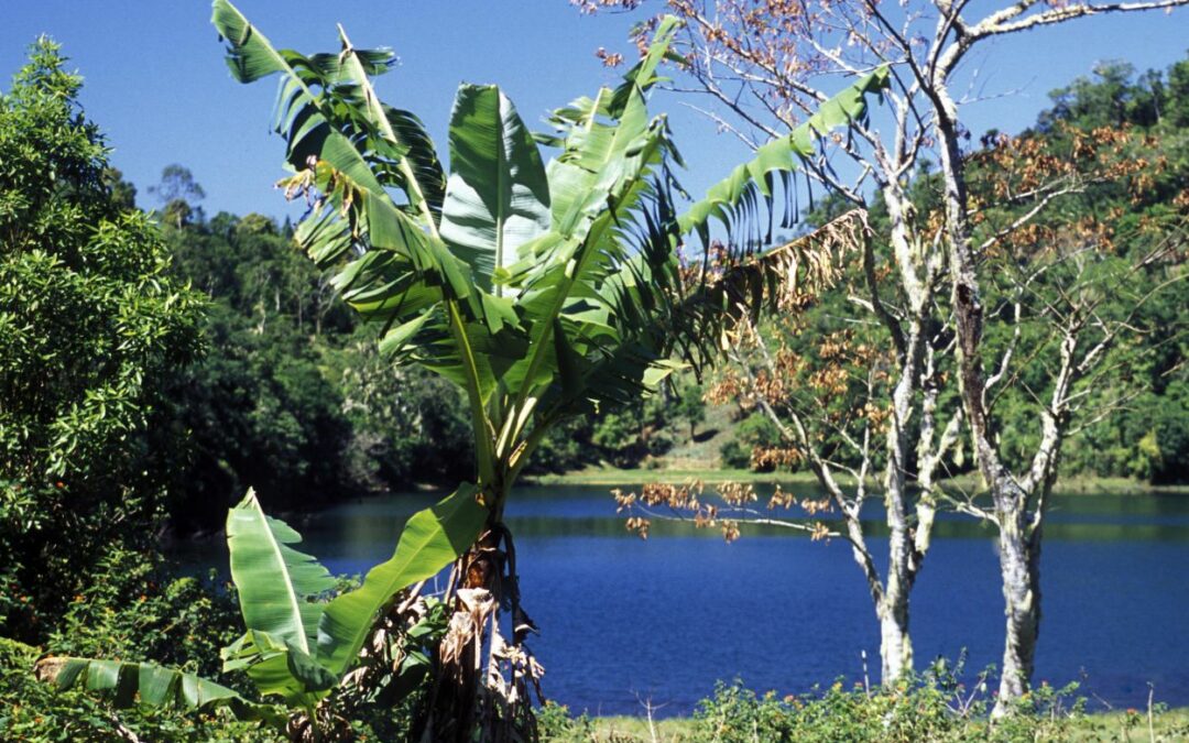 Superbe paysage des Comores