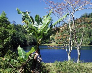 Superbe paysage des Comores