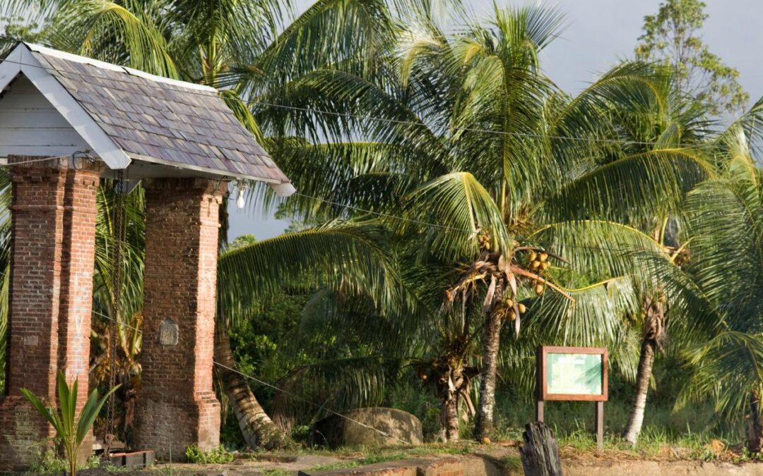 Guide de voyage : découvrir le Suriname