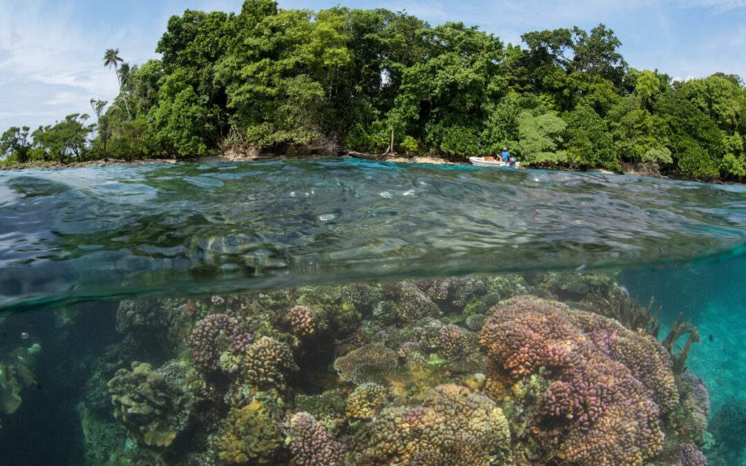 Les îles Salomon : un joyau du Pacifique à découvrir