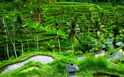 Comparatif des destinations exotiques : Bali vs Maldives, quel paradis choisir ?