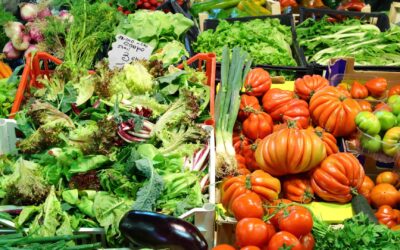 Mon avis sur les marchés à Yvetot : pourquoi ils valent le détour ?